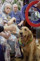 Движение Собаки для жизни посещают пансионаты для пожилых ОПЕКА