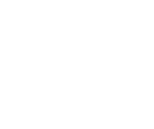 Дом престарелых в спб опека дом престарелых орлово воронежской области