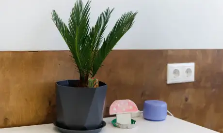 Фото пансионата Пансионаты временного пребывания для пожилых людей. Номер проживающего # 97 (мин.)