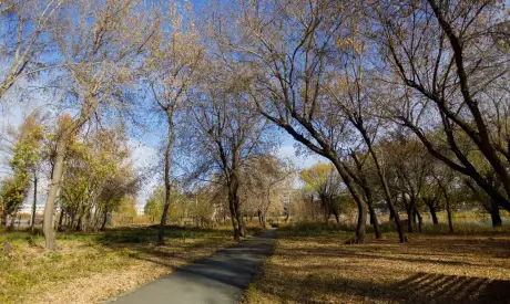 Фото пансионата Пансионаты временного пребывания для пожилых людей. Экстерьер # 130 (мин.)