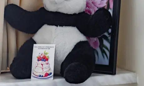 Фото пансионата Леснозаводской. Номер проживающего # 56 (мин.)