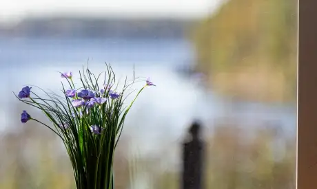 Фото пансионата Отрадное. Интерьер # 23 (мин.)