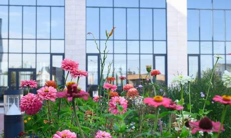 Фото пансионата Цветы. Экстерьер # 44 (мин.)