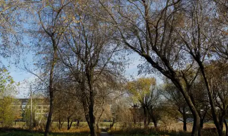 Фото пансионата Пансионаты временного пребывания для пожилых людей. Экстерьер # 133 (мин.)