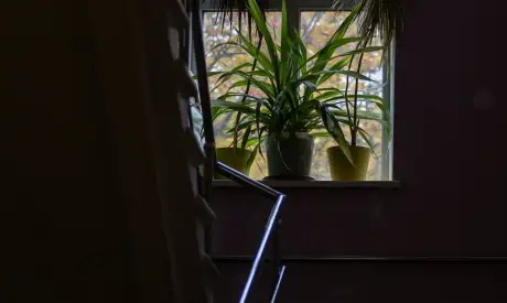 Фото пансионата Приморский. Интерьер # 24 (мин.)