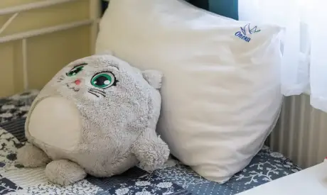 Фото пансионата Южный. Номер проживающего # 40 (мин.)