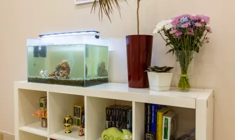 Фото пансионата Выборгский. Интерьер # 26 (мин.)