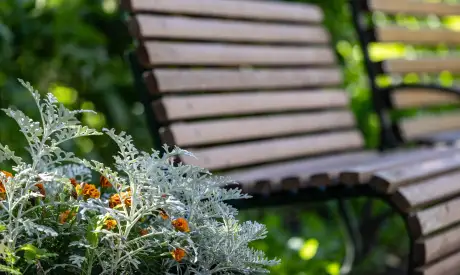 Фото пансионата Леснозаводской. Экстерьер # 3 (мин.)