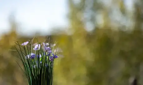 Фото пансионата Отрадное. Интерьер # 29 (мин.)