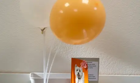 Фото пансионата Городской. Номер проживающего # 38 (мин.)