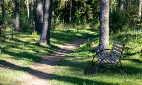 Фото пансионата Всеволожский. Экстерьер # 7 (мин.)