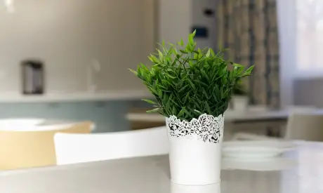 Фото пансионата Пансионаты временного пребывания для пожилых людей. Интерьер # 59 (мин.)