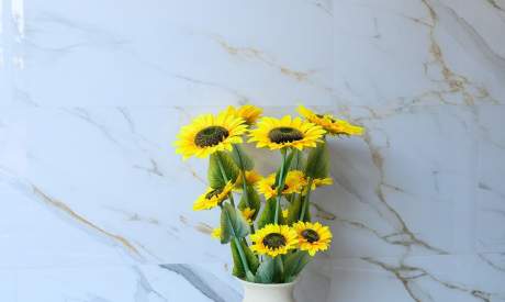 Фото пансионата Цветы. Интерьер # 10 (мин.)