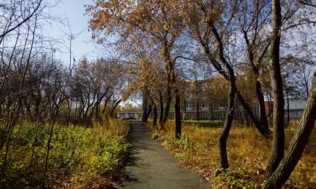 Фото пансионата Пансионаты временного пребывания для пожилых людей. Экстерьер # 126 (мин.)