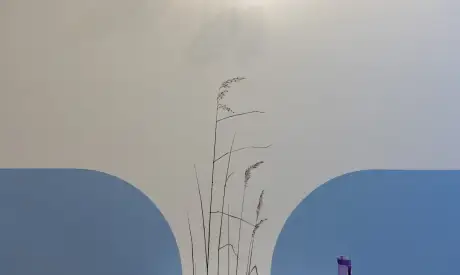 Фото пансионата Отрадное. Номер проживающего # 96 (мин.)