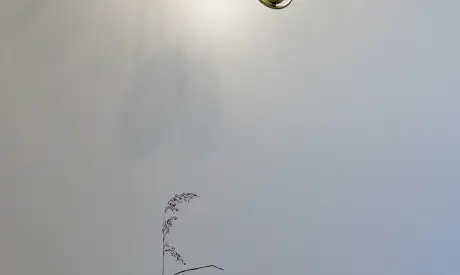 Фото пансионата Отрадное. Номер проживающего # 108 (мин.)