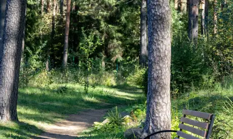 Фото пансионата Всеволожский. Экстерьер # 10 (мин.)