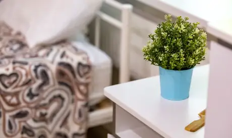 Фото пансионата Рижский. Номер проживающего # 48 (мин.)