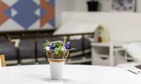 Фото пансионата Леснозаводской. Номер проживающего # 41 (мин.)