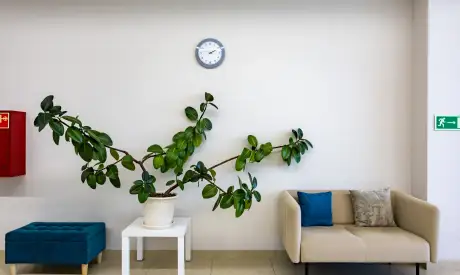 Фото пансионата Отрадное. Интерьер # 48 (мин.)