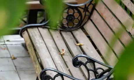 Фото пансионата Приморский. Экстерьер # 7 (мин.)