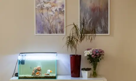 Фото пансионата Выборгский. Интерьер # 25 (мин.)