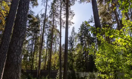 Фото пансионата Всеволожский. Экстерьер # 11 (мин.)
