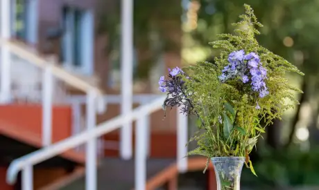 Фото пансионата Южный. Экстерьер # 10 (мин.)