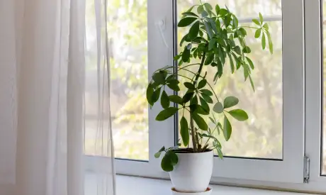 Фото пансионата Пансионаты временного пребывания для пожилых людей. Номер проживающего # 89 (мин.)