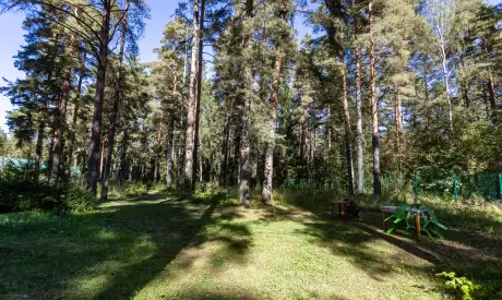 Фото пансионата Всеволожский. Экстерьер # 12 (мин.)