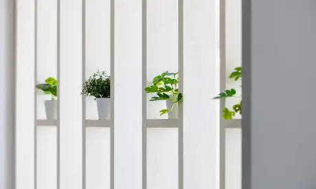 Фото пансионата Всеволожский. Номер проживающего # 64 (мин.)