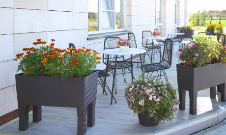 Фото пансионата Цветы. Экстерьер # 22 (мин.)