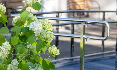 Фото пансионата Всеволожский. Экстерьер # 5 (мин.)