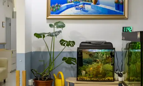 Фото пансионата Южный. Интерьер # 20 (мин.)