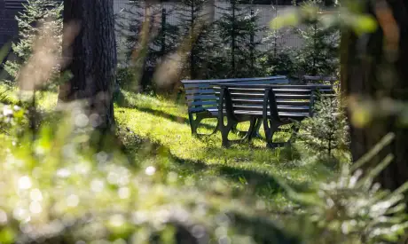 Фото пансионата Всеволожский. Экстерьер # 6 (мин.)