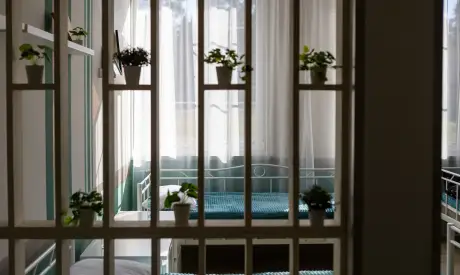 Фото пансионата Всеволожский. Номер проживающего # 63 (мин.)