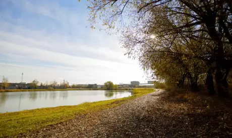 Фото пансионата Пансионаты временного пребывания для пожилых людей. Экстерьер # 128 (мин.)